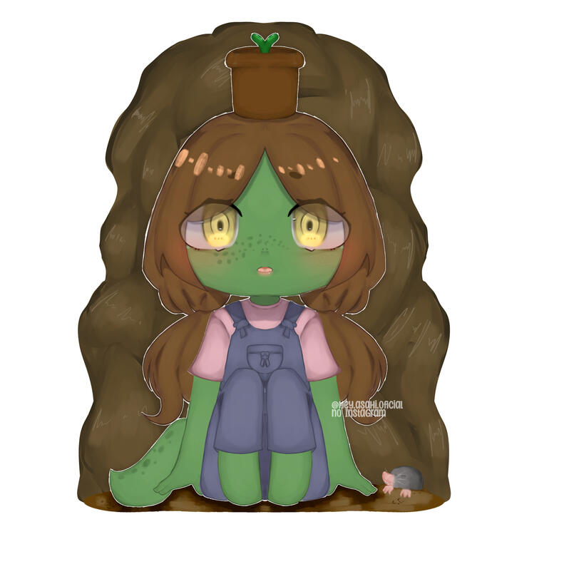 Foto de referência!