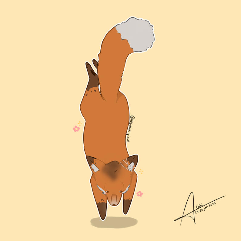 Foto de referência!